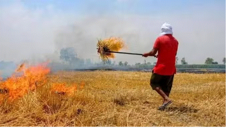 Photo of हरियाणा: पराली जलाने से रोकने में कोताही बरतने पर 17 अफसर चार्जशीट