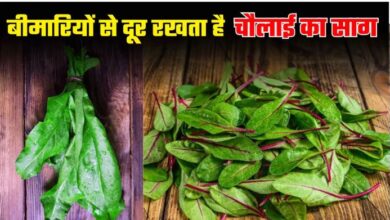 Photo of कमजोर हड्ड‍ियों में भी जान फूंक देगा Chaulai Saag