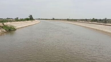 Photo of बीकानेर: इंदिरा गांधी नहर से सिंचाई के लिए नहीं मिलेगा पानी