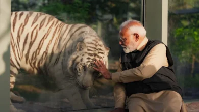 Photo of प्रधानमंत्री ने किया पशु संरक्षण केंद्र ‘वनतारा’ का उद्घाटन