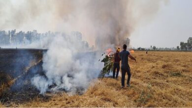Photo of हरियाणा में ई-क्षतिपूर्ति पोर्टल खुला: 50 हजार रुपये प्रति एकड़ मुआवजे पर मंथन