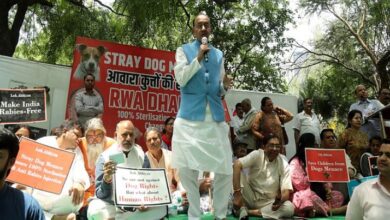 Photo of दिल्ली: लावारिस कुत्तों से परेशान आरडब्ल्यूए-एनजीओ का जंतर-मंतर पर धरना
