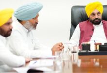 Photo of पंजाब कैबिनेट के फैसले: सीमा पर लगेंगे एंटी ड्रोन सिस्टम, एमएसपी पर बिकेगी मक्की