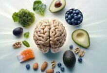 Photo of आइंस्टीन जैसा दिमाग पाना है? डाइट में शामिल करें 5 Superfoods