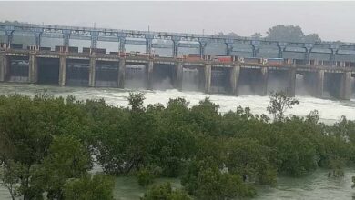 Photo of धान की बुआई नजदीक: पंजाब ने BBMB से मांगा 9 हजार क्यूसेक अतिरिक्त पानी