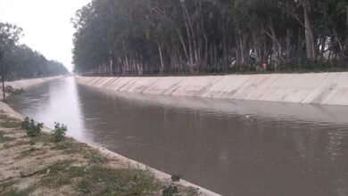Photo of हरियाणा: झज्जर में नहर में मिला अज्ञात महिला का शव