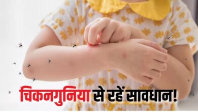 Photo of मानसून से पहले ही बढ़ने लगे हैं चिकनगुनिया के मामले, खुद के बचाव के लिए रखें इन बातों का ध्यान!