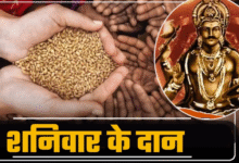 Photo of शनिवार के दिन इन चीजों के दान से प्रसन्न होते हैं शनिदेव, सुख-समृद्धि का मिलता है आशीष