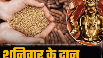 Photo of शनिवार के दिन इन चीजों के दान से प्रसन्न होते हैं शनिदेव, सुख-समृद्धि का मिलता है आशीष
