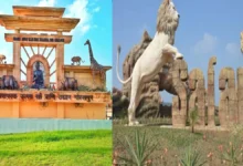 Photo of यूपी में बर्ड फ्लू की दस्तक! गोरखपुर चिड़ियाघर और इटावा ‘लायन सफारी’ आम जनता के लिए किया गया बंद