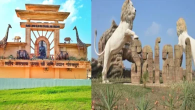 Photo of यूपी में बर्ड फ्लू की दस्तक! गोरखपुर चिड़ियाघर और इटावा ‘लायन सफारी’ आम जनता के लिए किया गया बंद