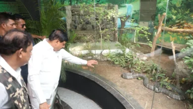 Photo of CM मोहन यादव ने इंदौर चिड़ियाघर को गिफ्ट में दिया नर कोबरा, जानें क्यों है खास