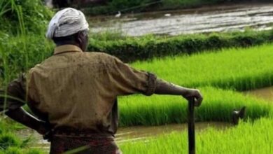 Photo of हरियाणा के किसानों की बल्ले-बल्ले, सरकार ने दी बड़ी सौगात!