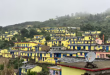 Photo of सीएम धामी ने बदली सरकोट गांव की तस्वीर, मशरूम और फलों के लिए देश-दुनिया में नाम