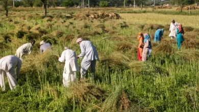 Photo of केंद्र सरकार ने क्यों की हरियाणा की तारीफ? सूबे को दी जा सकती है विशेष फंडिंग