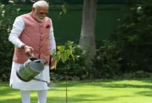 Photo of विश्व पर्यावरण दिवस: पीएम मोदी ने लगाया “सिंदूर का पौधा”, जानिए क्या है इस पौधे की खासियत?