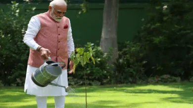 Photo of विश्व पर्यावरण दिवस: पीएम मोदी ने लगाया “सिंदूर का पौधा”, जानिए क्या है इस पौधे की खासियत?