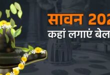 Photo of  सावन में घर की इस दिशा में लगाएं बेलपत्र का पौधा