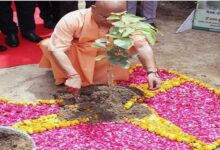 Photo of पौधरोपण महाभियान 2025; आज यूपी बनायेगा नया कीर्तिमान