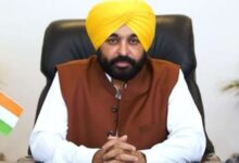 Photo of पंजाब में घटिया बीज बेचने वालों पर लगेगी लगाम, इस तैयारी में मान सरकार!
