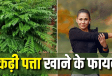 Photo of रोज सुबह खाली पेट चबा लें 7-8 कढ़ी पत्ते, मिलेंगे 8 कमाल के फायदे