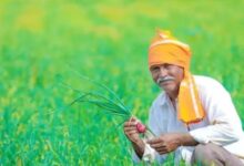 Photo of पंजाब के किसानों के लिए खुशखबरी, इस स्कीम की किश्त की जारी