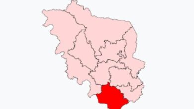 Photo of राजनीतिक उलटफेरों की जमीन नौतन विधानसभा, यहां लगभग हर चुनाव में बदलते हैं समीकरण