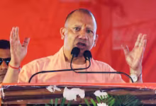 Photo of संभल में विपक्ष पर सीएम योगी का बड़ा जुबानी हमला, कहा- उनकी आने वाली पीढ़ियां भी याद करेंगी कि…