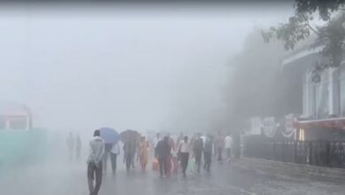 Photo of अलर्ट के बीच हिमाचल के कई भागों में झमाझम बारिश