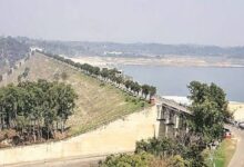 Photo of पंजाब में आज भारी बारिश का अलर्ट: पौंग बांध से फिर छोड़ा जाएगा पानी