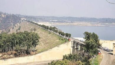 Photo of पंजाब में आज भारी बारिश का अलर्ट: पौंग बांध से फिर छोड़ा जाएगा पानी