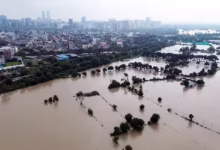 Photo of नोएडा में भी दिखा यमुना का कहर, सेक्टर-135 के निचले इलाकों में घुसा पानी, फसलें भी जलमग्न