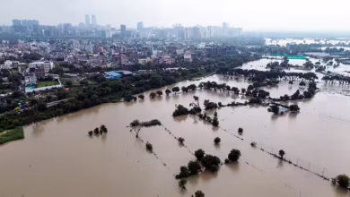 Photo of नोएडा में भी दिखा यमुना का कहर, सेक्टर-135 के निचले इलाकों में घुसा पानी, फसलें भी जलमग्न