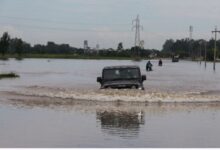 Photo of पंजाब में तबाही: बीबीएमबी चेयरमैन ने दी बड़ी नसीहत
