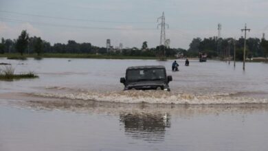 Photo of पंजाब में तबाही: बीबीएमबी चेयरमैन ने दी बड़ी नसीहत