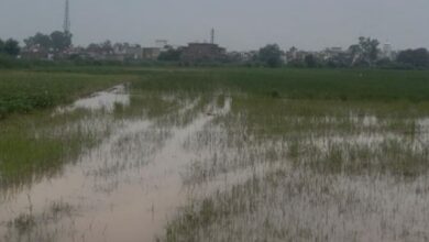 Photo of हरियाणा: मारकंडा, खतरे के निशान से 11 हजार क्यूसेक नीचे आया पानी का बहाव