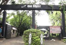 Photo of मध्य प्रदेश: वन विहार में इसी महीने बंद होगा निजी वाहनों का प्रवेश