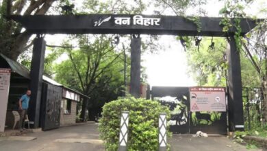Photo of मध्य प्रदेश: वन विहार में इसी महीने बंद होगा निजी वाहनों का प्रवेश