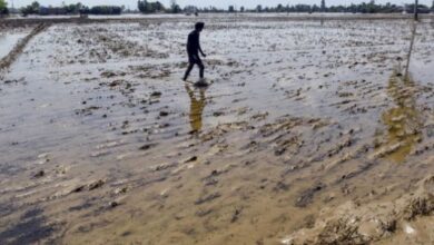 Photo of पंजाब : पानी के कारण एक लाख एकड़ से ज्यादा जमीन की निशानदेही खत्म