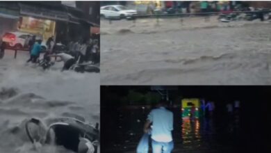 Photo of राजस्थान :   बारिश से बीकानेर में मचा हाहाकार, तेज बहाव में बहने लगे वाहन