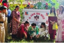 Photo of उधमपुर:  महिला काॅलेज में एनसीसी कैडेट्स ने चलाया पौधरोपण अभियान