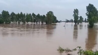 Photo of पंजाब में नया खतरा, दरियाओं ने स्वरूप बदला, बढ़ गया बाढ़ क्षेत्र