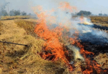 Photo of हरियाणा सरकार ने प्रदूषण नियंत्रण के लिए कसी कमर, पराली जलाने पर सख्त कार्रवाई