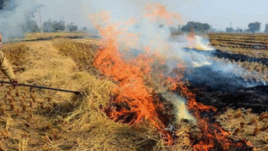 Photo of हरियाणा सरकार ने प्रदूषण नियंत्रण के लिए कसी कमर, पराली जलाने पर सख्त कार्रवाई