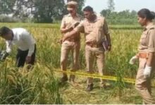 Photo of यूपी: डंडे से पीटकर बुजुर्ग महिला की हत्या, खेत में फेंका शव
