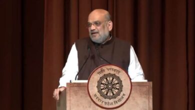 Photo of ‘सरदार पटेल को नहीं दिया गया उचित सम्मान…’, अमित शाह ने कांग्रेस पर साधा निशाना, बताया भारत के लिए कैसे निभाई बड़ी भूमिका