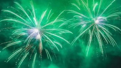 Photo of कहां होता है ग्रीन पटाखों का सबसे अधिक उत्पादन