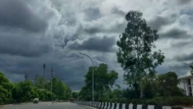 Photo of मध्यप्रदेश में ठंड ने दी दस्तक: पहाड़ों में बर्फबारी का असर