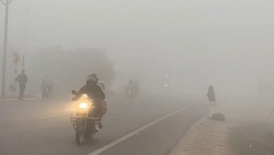 Photo of हरियाणा: दिन का तापमान 3.5 डिग्री तक गिरा, पहाड़ों में बर्फबारी से ठंड का अहसास