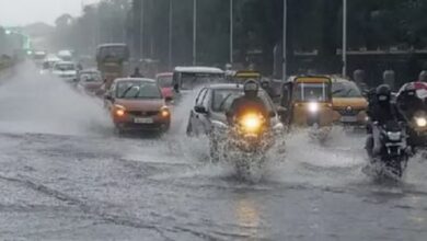 Photo of हरियाणा के 12 जिलों में हुई बारिश, पहाड़ों पर बर्फबारी से ठंड का एहसास